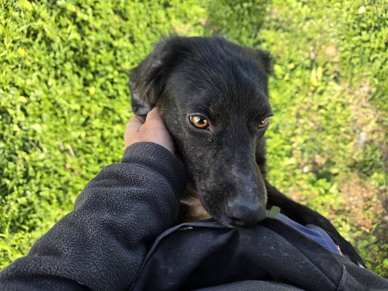 Immo: ein Schatz für die ganze Familie