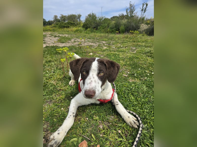 Befanino: ein Unikat zum Verlieben