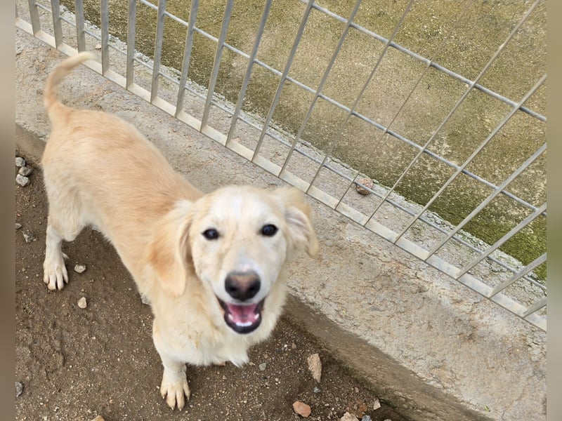 Cameron: kleiner Herzensbrecher