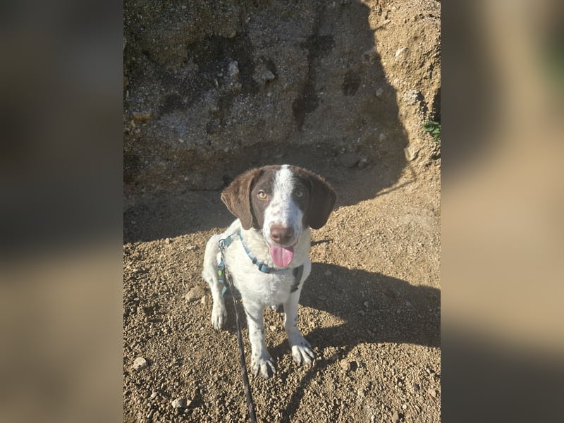 Befanino: er liebt Menschen über alles