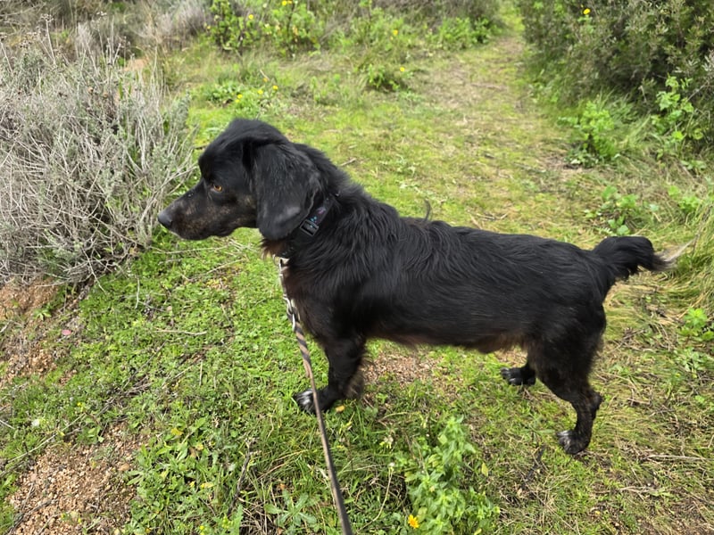 Immo: ein Schatz für die ganze Familie