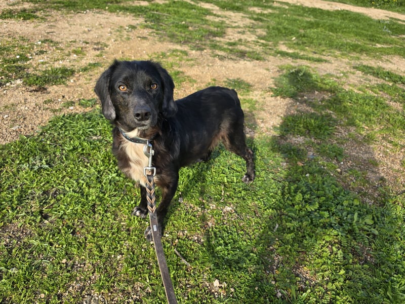 Immo: ein Schatz für die ganze Familie