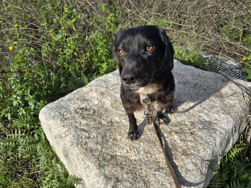 Immo: ein Schatz für die ganze Familie