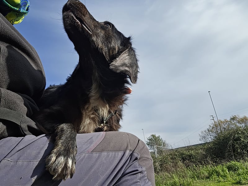 Immo: ein Schatz für die ganze Familie