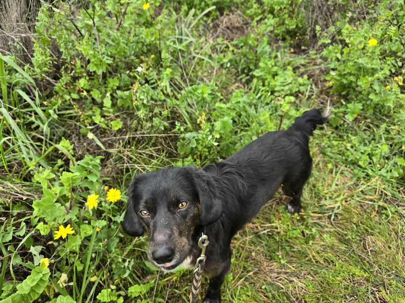 Immo: ein Schatz für die ganze Familie