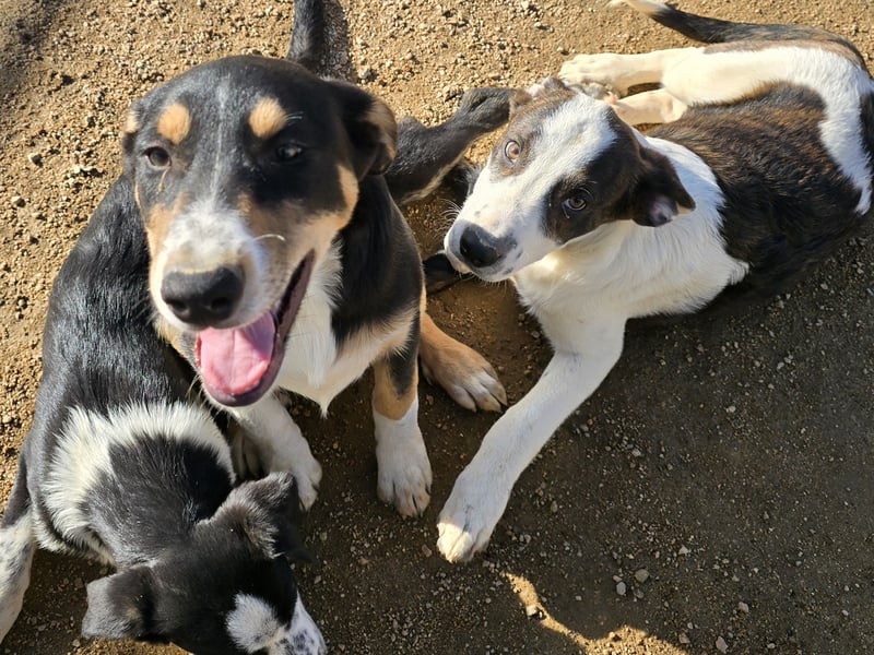 Betty: Hallo, hier bin ich!