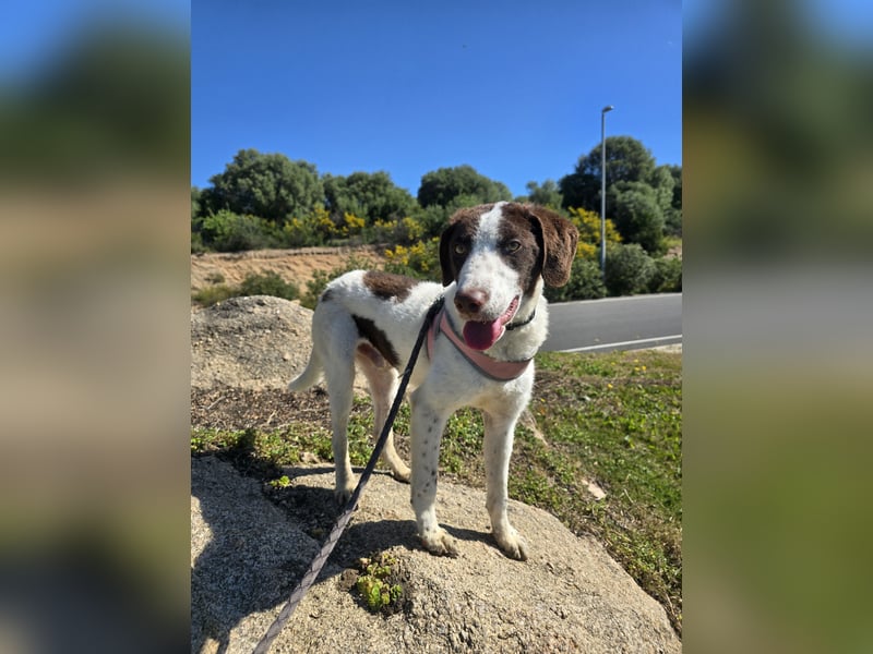 Befanino: ein Unikat zum Verlieben