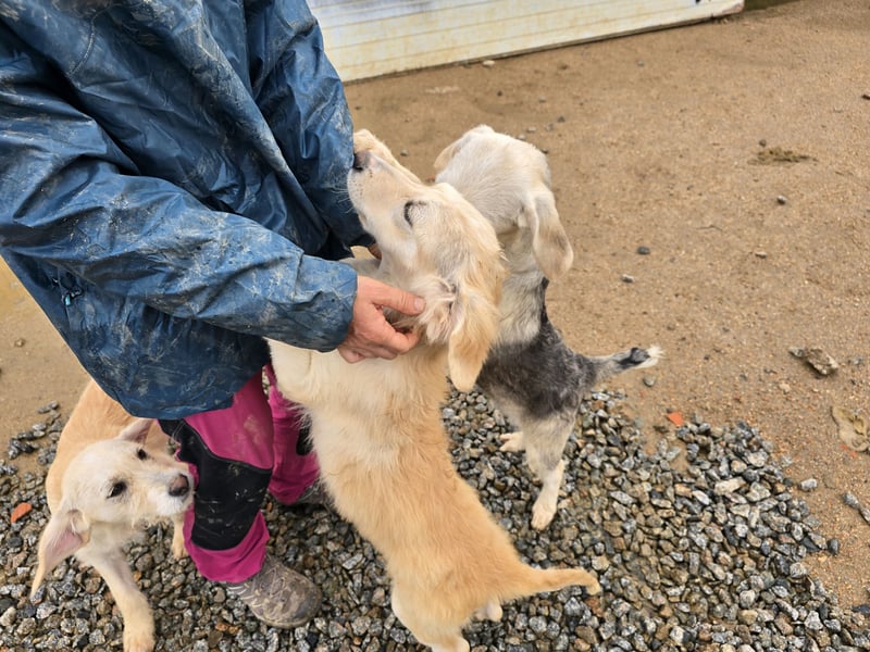 Cameron: kleiner Herzensbrecher