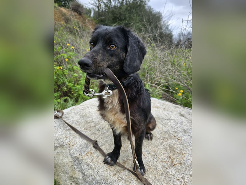 Immo: ein Schatz für die ganze Familie