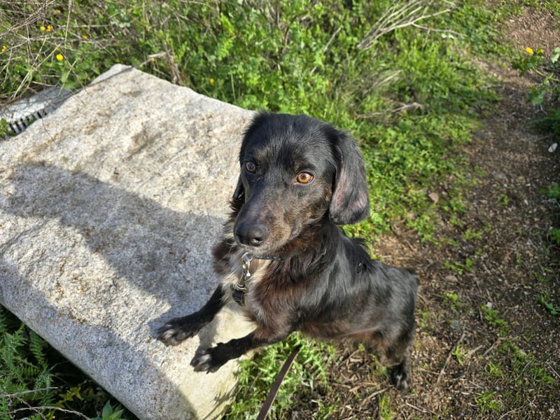 Immo: ein Schatz für die ganze Familie