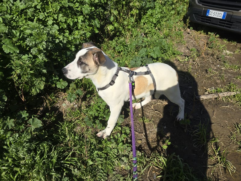 Nicolina: vom Parkplatz ins schöne Leben