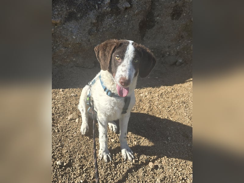 Befanino: er liebt Menschen über alles