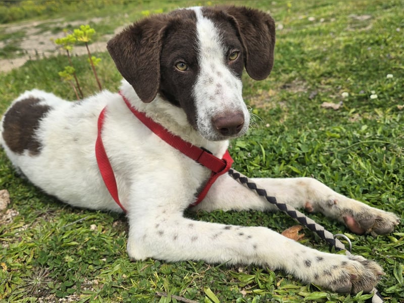 Befanino: ein Unikat zum Verlieben