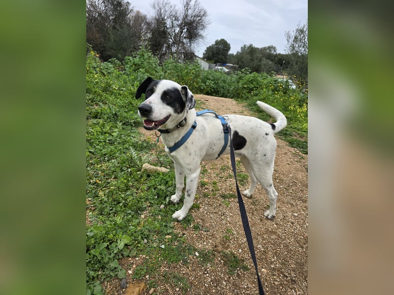 Diddo:  er hatte eine Familie