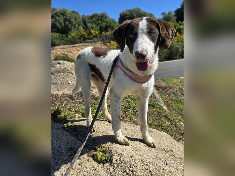 Befanino: ein Unikat zum Verlieben