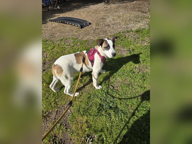 Nicolina: vom Parkplatz ins schöne Leben