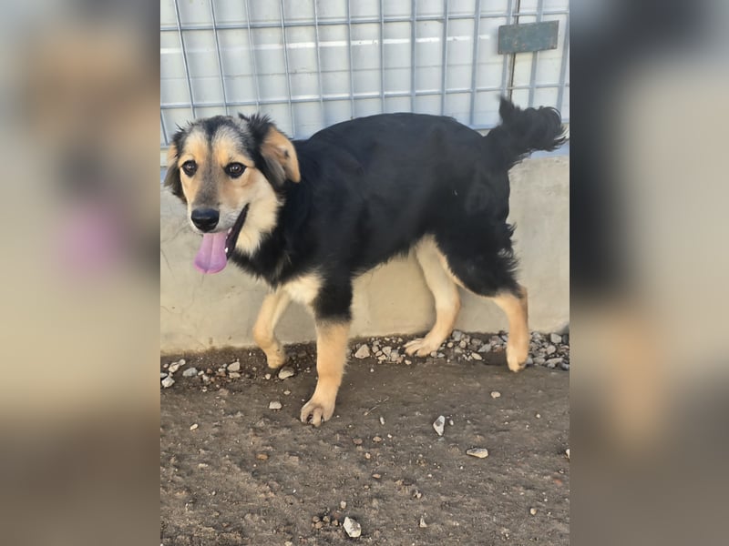 Bijou: sie leidet still