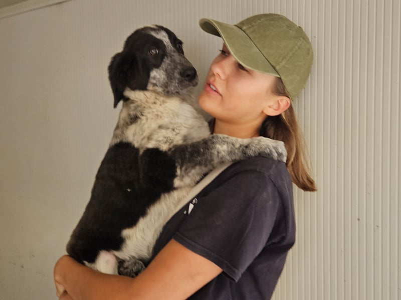 Tiziano: möchte spielen, lernen, schmusen