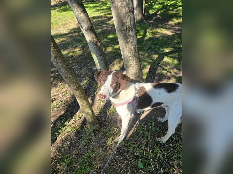 Befanino: ein Unikat zum Verlieben