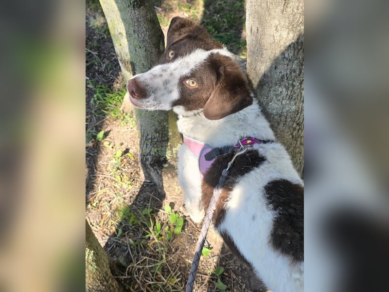 Befanino: ein Unikat zum Verlieben