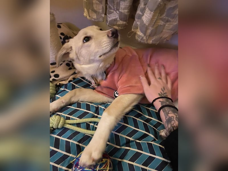 Bezaubernde Tammy sucht Körbchen