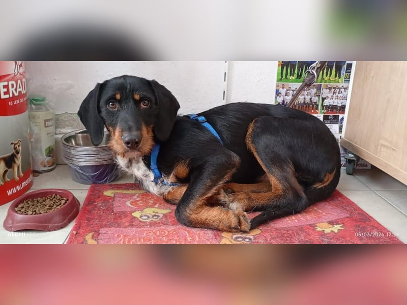 Lako, BrackenMix gibt die Hoffnung nicht auf