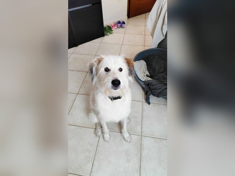 Senior Casper ist noch fit