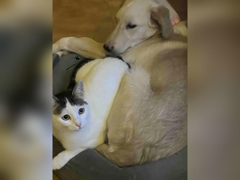 Bezaubernde Tammy sucht Körbchen