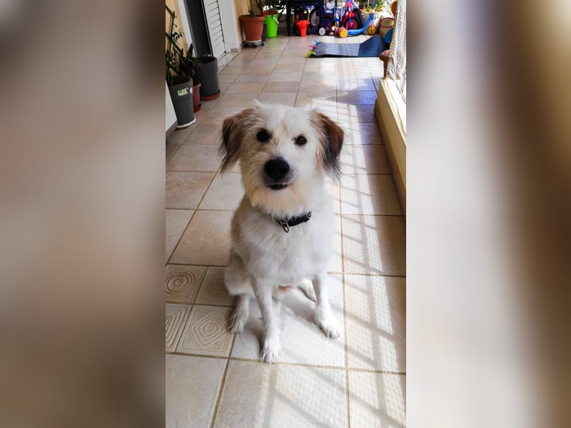 Senior Casper ist noch fit