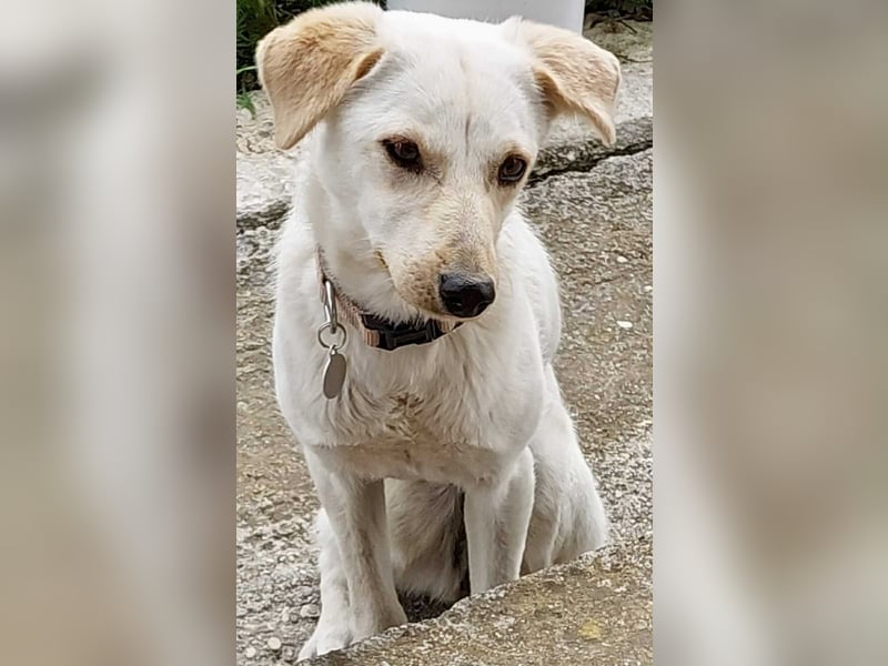 Snow möchte wieder eine Familie