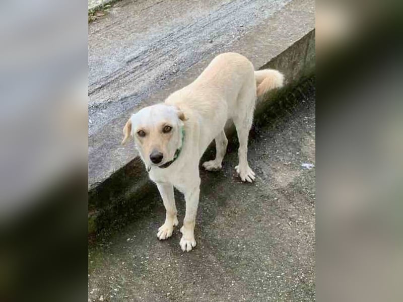 Snow möchte wieder eine Familie