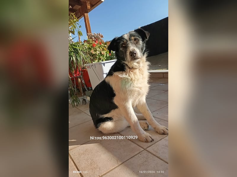 Nitsa - Persönlichkeit mit ❤️ Herz