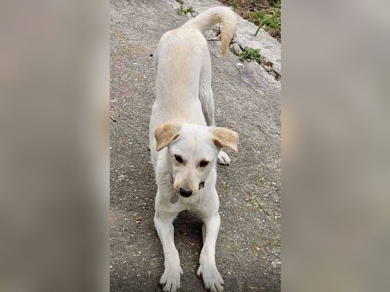 Snow möchte wieder eine Familie