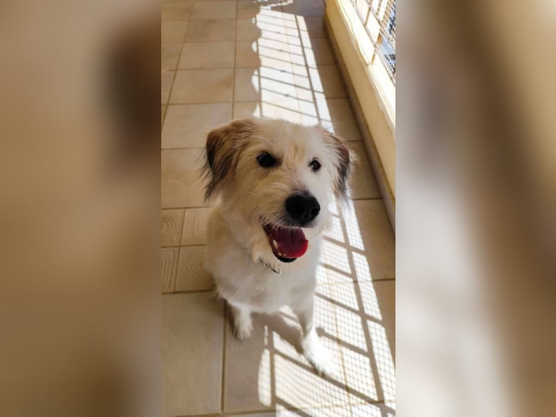 Senior Casper ist noch fit