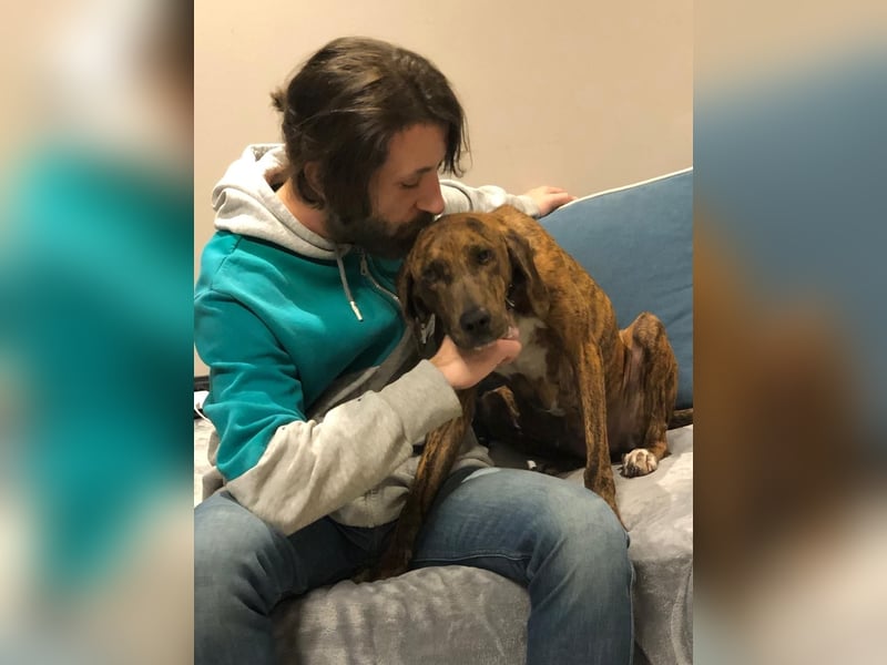 Sanfte Lisa wartet auf liebevolle Familie