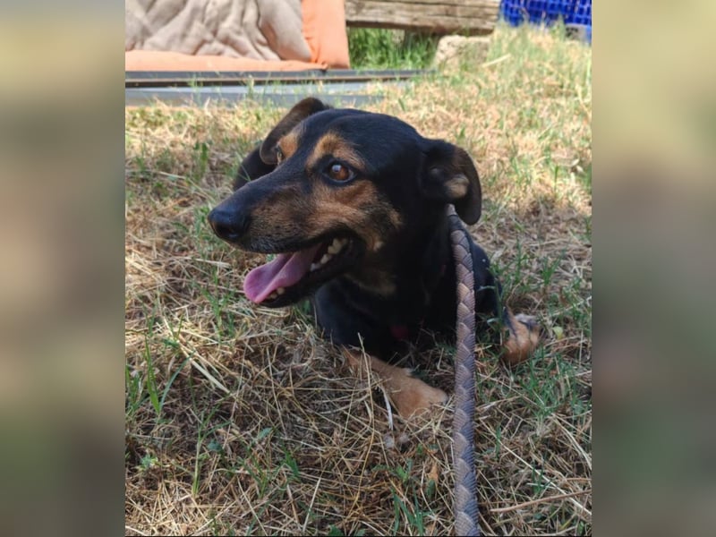 Marvin sucht ein liebevolles Zuhause