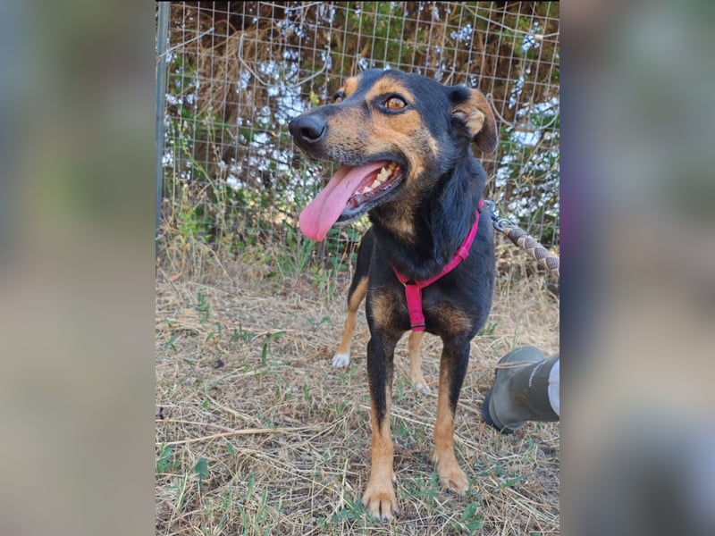 Marvin sucht ein liebevolles Zuhause