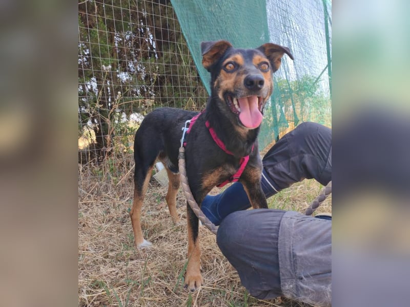 Marvin sucht ein liebevolles Zuhause