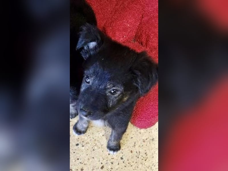 Billie