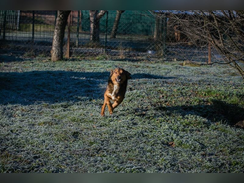 Chip-Nr. 256049 - ich freue mich auf tolle Abenteuer mit meiner Familie!