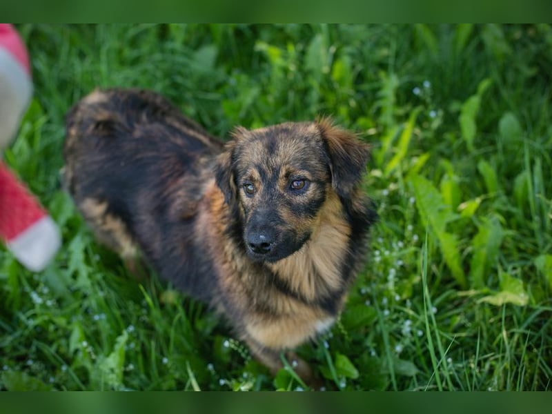 SISSY - in dieses hübsche Mädchen kann man sich doch nur verlieben...