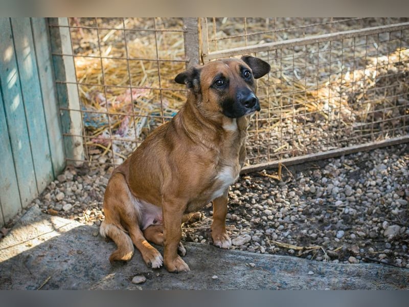 VANILLA - ich freue mich auf ein glückliches Leben bei meiner Familie!