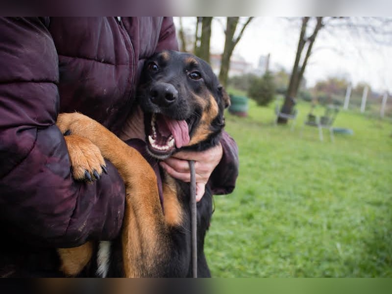 NIA - ich freue mich auf tolle Abenteuer mit meiner Familie!