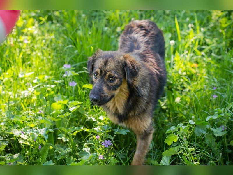 SISSY - in dieses hübsche Mädchen kann man sich doch nur verlieben...
