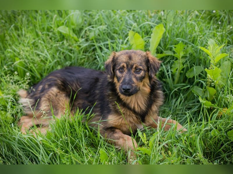 SISSY - in dieses hübsche Mädchen kann man sich doch nur verlieben...