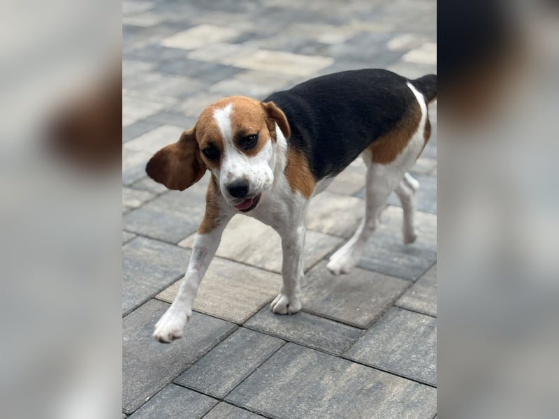 Luna - Ein ganz besonderes Mädchen sucht verständnisvolle Familie