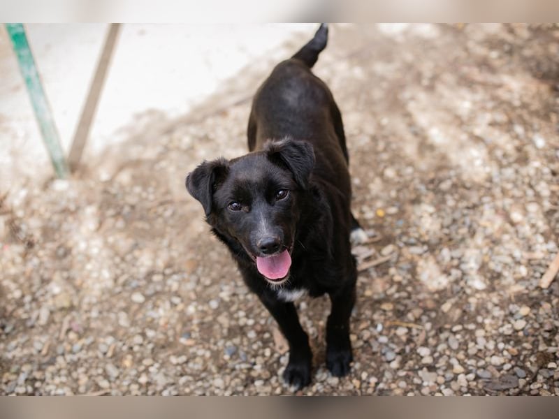 ROY - ich freue mich auf eine aktive Familie die mit mir die Welt entdeckt.