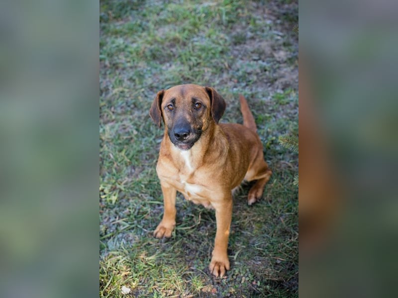 HAZEL - ich freue mich auf ein tolles Leben mit meinen Menschen!