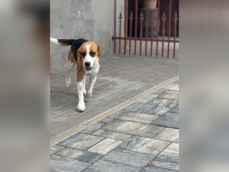 Luna - Ein ganz besonderes Mädchen sucht verständnisvolle Familie