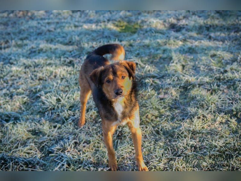 Chip-Nr. 256049 - ich freue mich auf tolle Abenteuer mit meiner Familie!